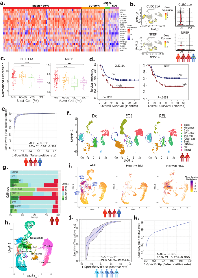 Fig. 2: Development of blast progenitor signature from heterogeneous AML-blasts.