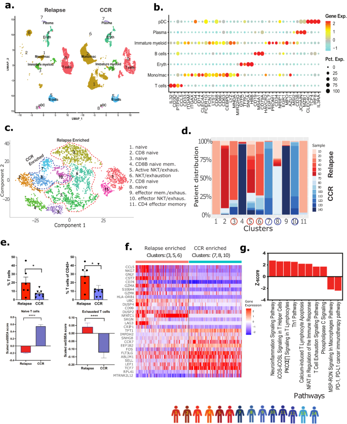 Fig. 4: Immune microenvironment analysis of Dx samples.