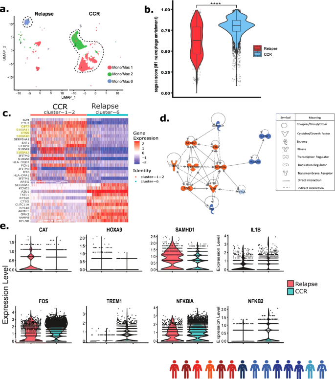 Fig. 5: CCR-associated samples at diagnosis depicted enrichment of inflammatory monocytes/macrophages.