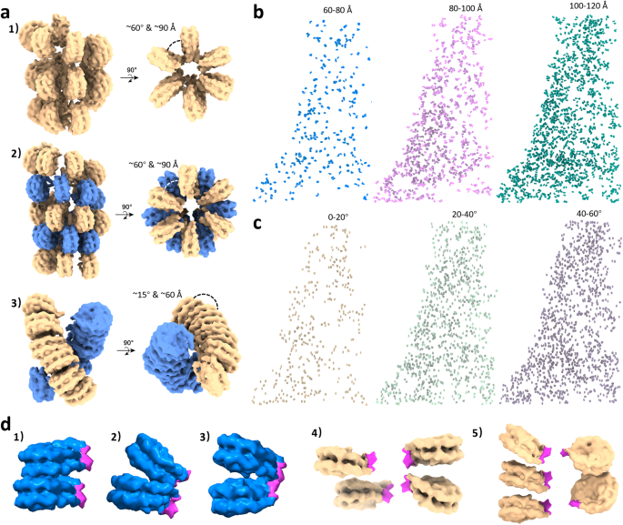 Fig. 3: Chromatin models and mapping of different subpopulations of the native nucleosome.