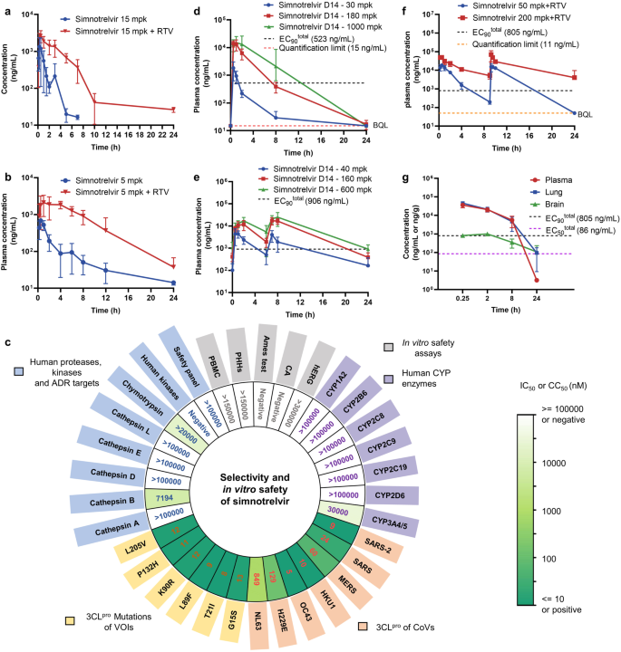 Fig. 3: Pharmacokinetics and safety profiles of simnotrelvir.
