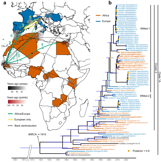 Spatial and temporal dynamics of West Nile virus between Africa and Europe  | Nature Communications