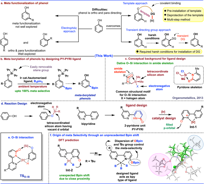Fig. 1: Previous limitations of meta functionalization of phenols and present state of art for the meta borylation of phenols.