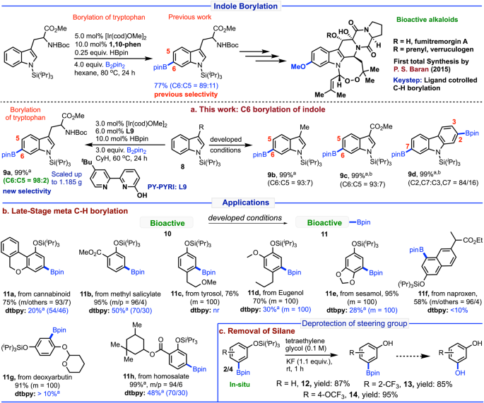 Fig. 6: Borylation of indoles previous and present reports and applications.