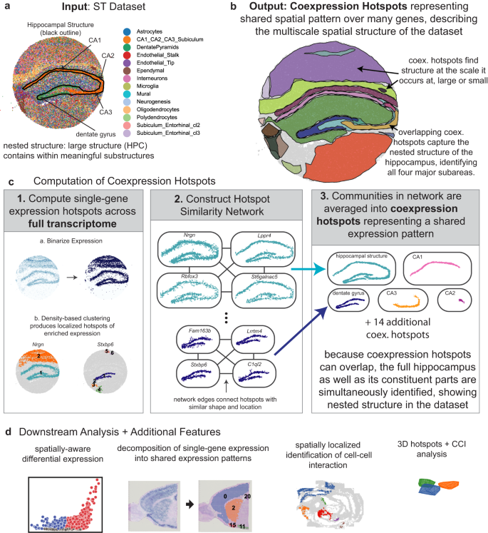 Fig. 1: NeST identifies nested, hierarchical structure in ST data through coexpression hotspot framework.