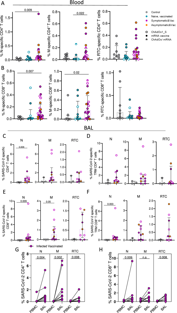 Fig. 4: Detection of infection-induced SARS-CoV-2 T cell responses in the periphery and lung mucosa.