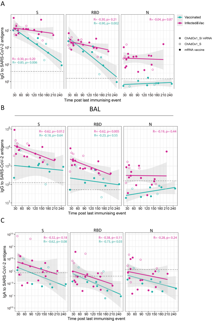 Fig. 5: Kinetics of antibody responses to SARS-CoV-2 antigens in blood and the lung mucosa following vaccination and infection.