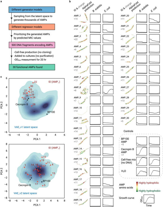 Fig. 2: Cell-free production of de novo-generated and prioritized AMPs and activity screening against B. subtilis and E. coli.