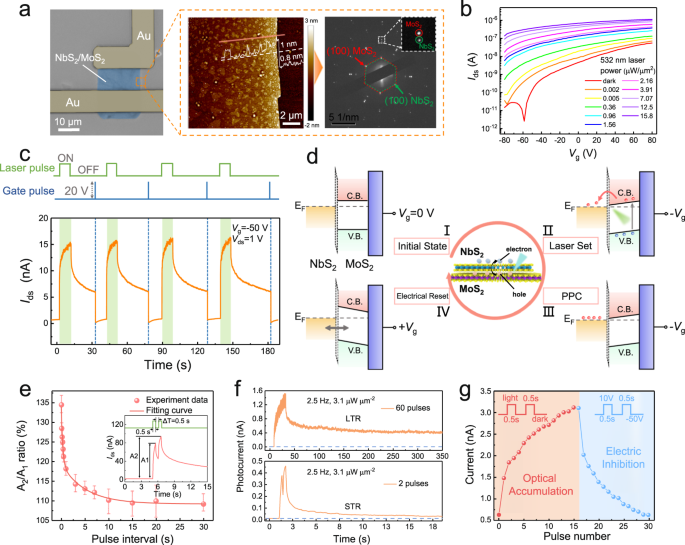 Fig. 2: Optoelectronic performance of NbS2/MoS2 phototransistor.