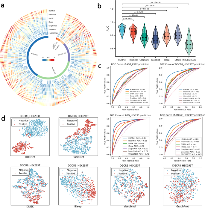 Fig. 2: HDRNet predicts RBP binding events more accurately than other state-of-the-art methods.