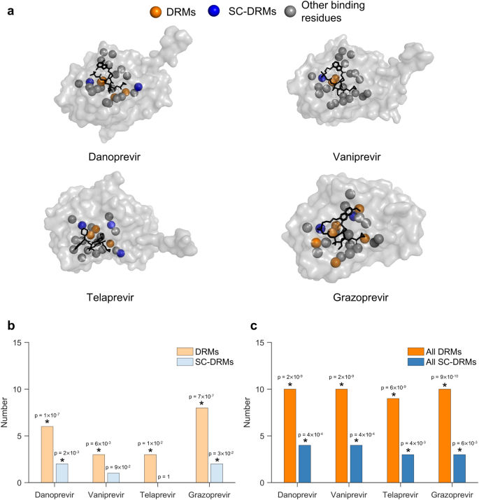 Fig. 5: SC-DRMs appear to impact binding of NS3 drugs through direct interactions.