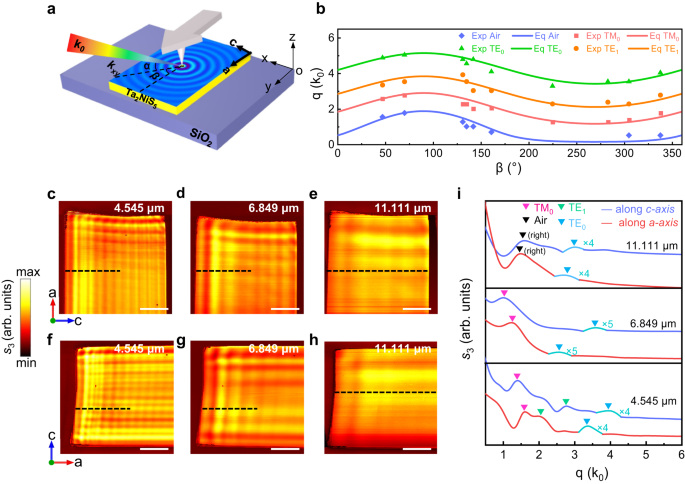 Fig. 2: Real-space nanoimaging of waveguide modes in Ta2NiS5 flakes.