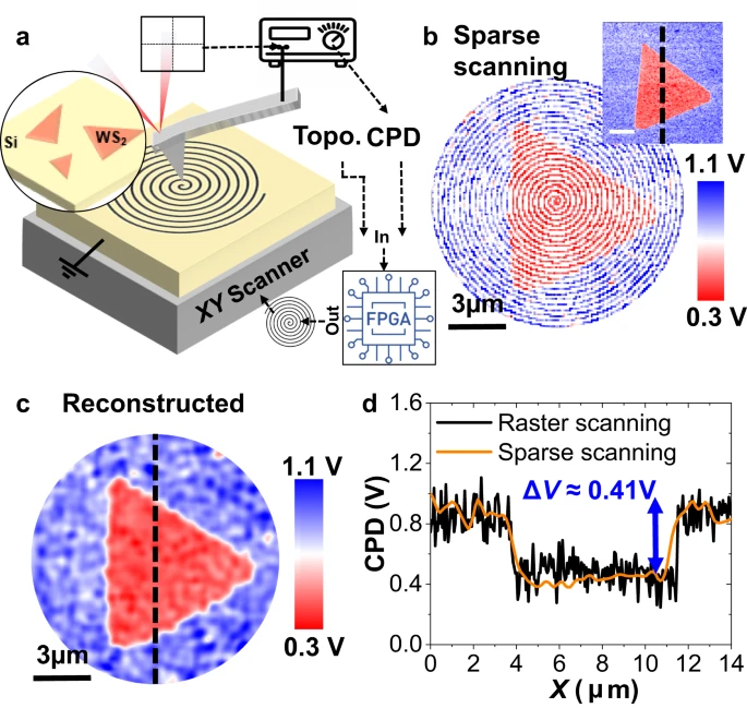 Imaging of nanoscale charge dynamics demonstrated with BudgetSensors Multi75-G AFM probes - news