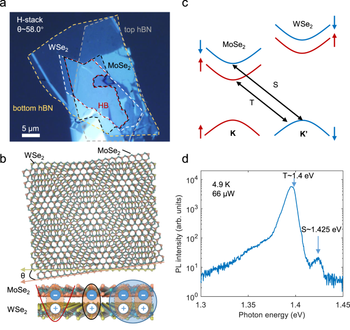 Fig. 1: Interlayer excitons in an hBN encapsulated H-stacked MoSe2/WSe2 heterobilayer sample.