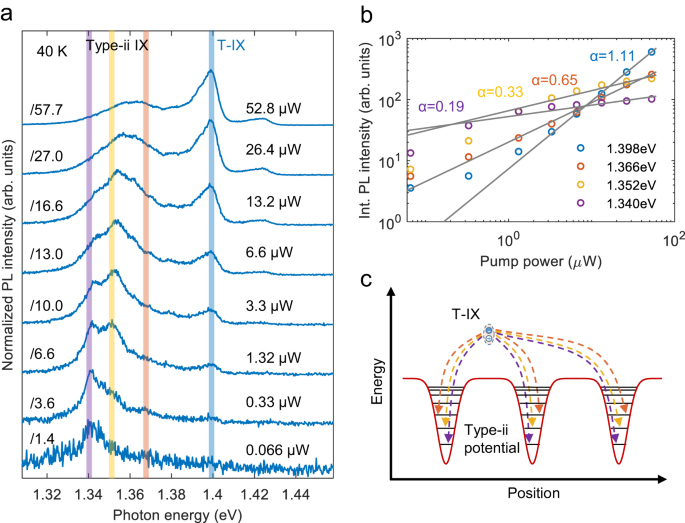 Fig. 3: Formation of type-ii IXs and their filling into moiré potential traps.