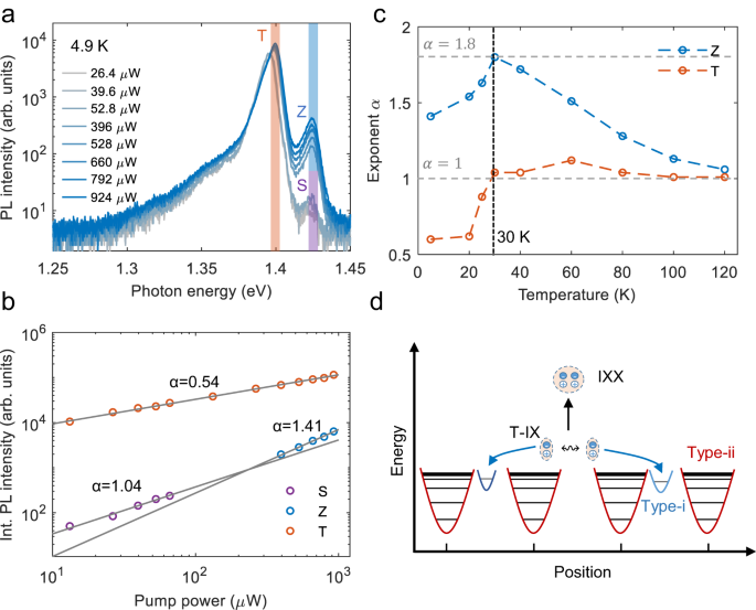 Fig. 4: Optical signatures of the emergence of biexcitons in the strong excitation regime.