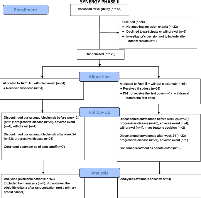 Fig. 1: Patient flow diagram.