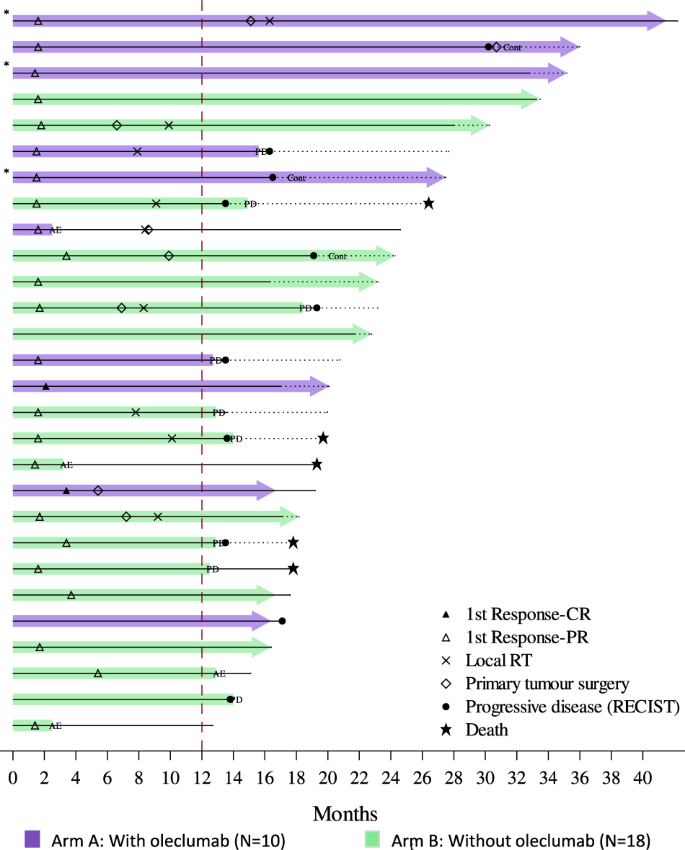 Fig. 3: Swimmer plot of long responders.