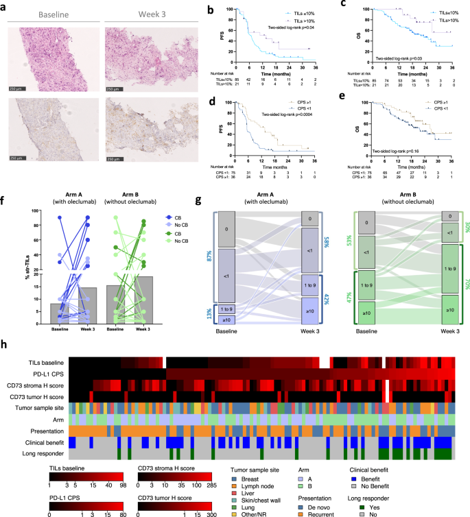 Fig. 5: Exploratory biomarker analyses.