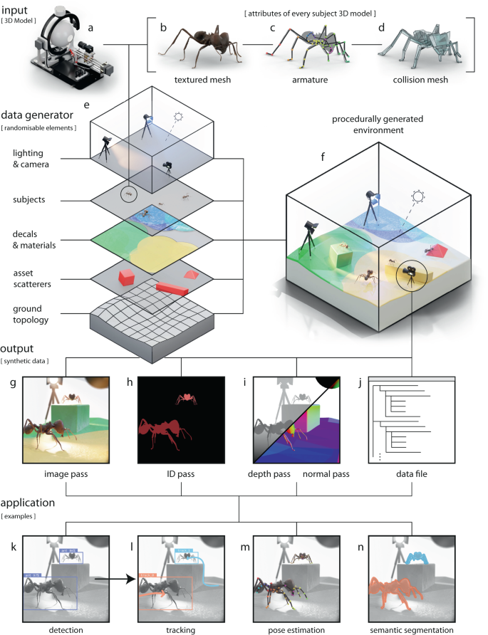 AIが動物を追跡する新しいツールが生物学研究を後押しする可能性(New tool to help AI track animals could boost biology research)