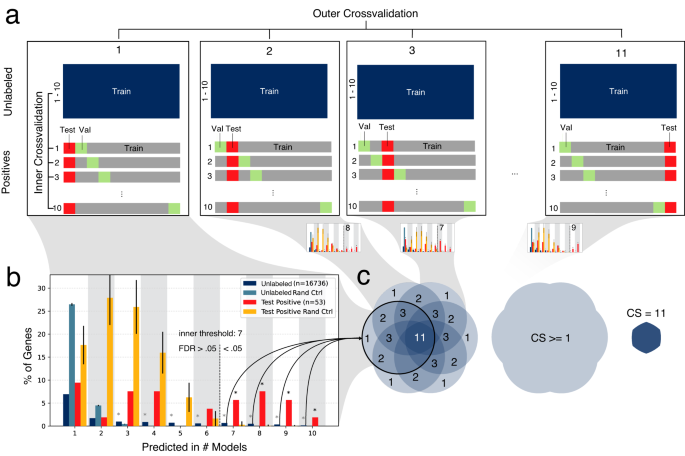 Fig. 2: Cross validation ensemble.