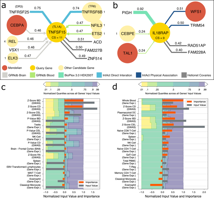 Fig. 5: Model interpretation.