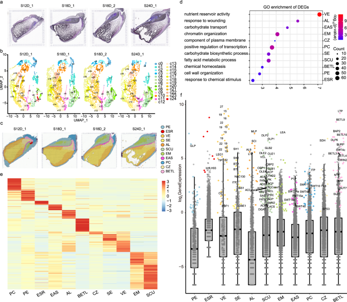 Fig. 1: Global spatiotemporal analysis of three filling stages.