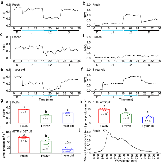 Fig. 2: Analysis of photosynthesis of Sanguina nivaloides collected within red snowfields in Vallon Roche Noire after various periods of conservation.