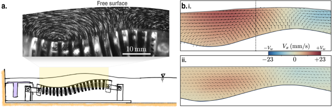 Fig. 2: Thin-film flow atop the undulator.