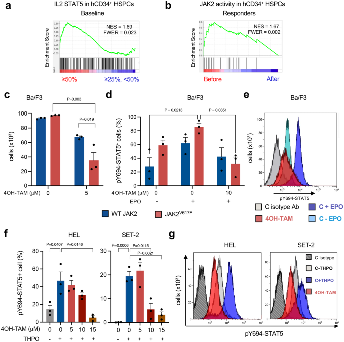 Fig. 7: Tamoxifen preferentially inhibits oncogenic JAK-STAT signaling.