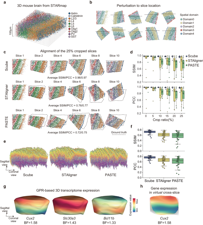 Fig. 5: 3D alignments of consecutive ST slices for the mouse brain.
