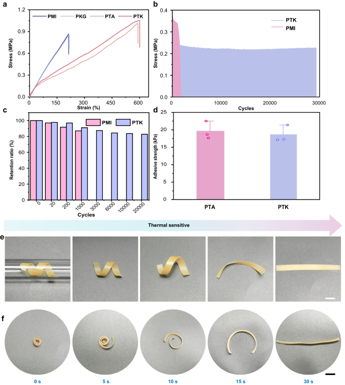 Fig. 2: Mechanical and shape-memory properties of PTK hydrogel.