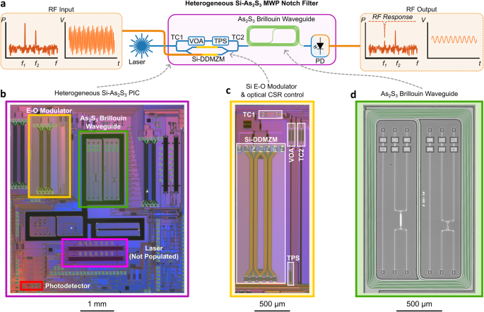 地域産業の可能性を開く「レゴブロックのようにフィットする」フォトニックチップ (Photonic chip that ‘fits together like Lego’ opens door to local industry)
