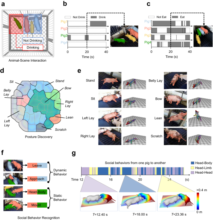 Fig. 2: MAMMAL enables quantitative analysis of rich pig behaviors.