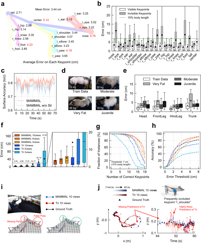 Improved 3D Markerless Mouse Pose Estimation Using Temporal  Semi-supervision