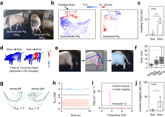 Fig. 4: MAMMAL quantifies the behavioral differences of two pigs in different social hierarchies.