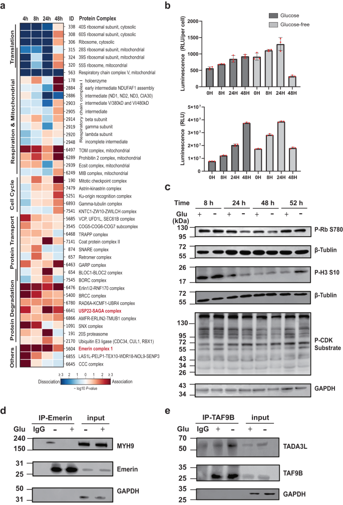 Fig. 6: Glucose deprivation induces protein complexes changes in K562 cells.