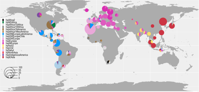Fig. 1: World map of HpGP strain origins and population assignments.