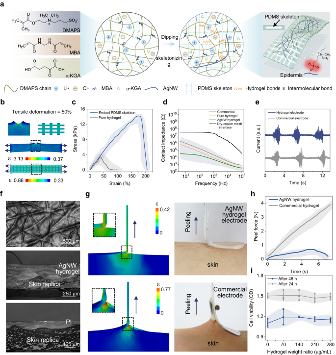 Fig. 2: Characterizations of composite hydrogel electrodes.