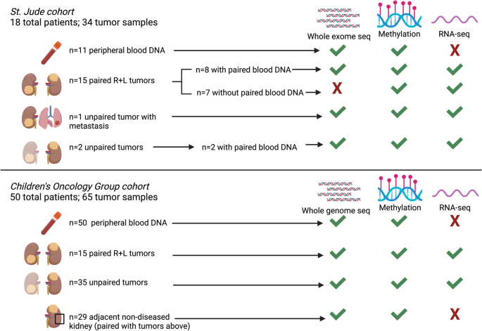 Fig. 1: Specimens and molecular assays used in the current study.