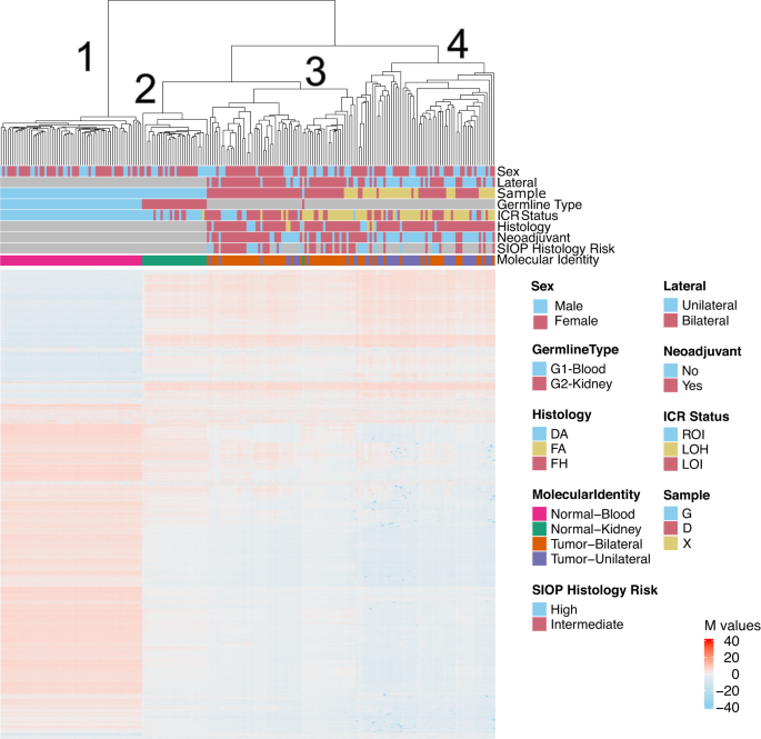 Fig. 4: Unsupervised hierarchical clustering of methylation M-values from the top 10,000 most variable probes in the 850 K EPIC Methylation Beadchip array.