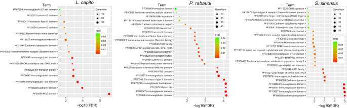 Fig. 5: Functional enrichment analysIs of tandem duplicate genes in three allotetraploid genomes.