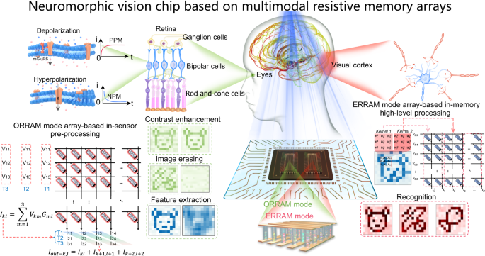 Fig. 1: Neuromorphic vision chip based on multimodal resistive memory arrays with ORRAM mode array for in-sensor image preprocessing and ERRAM mode array for high-level image recognition.