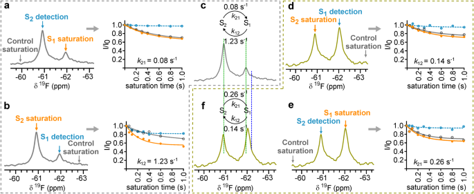 Fig. 1: 19F NMR of Y11tfmF-NT8-13 shows slow-exchanging conformational heterogeneity in complex with enNTS1 and enNTS1-R213.