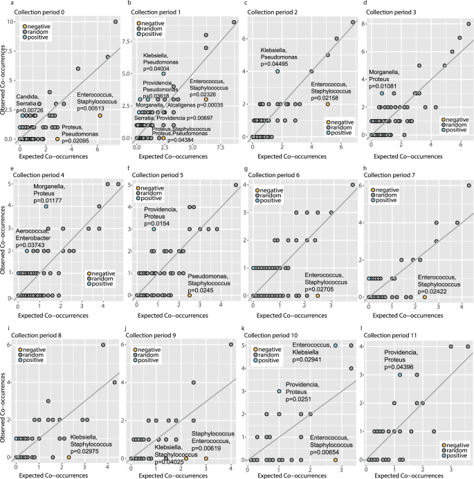 Fig. 4: Identification of positive and negative pairwise species co-occurrences from lower urinary tract samples of long-term catheterized patients.