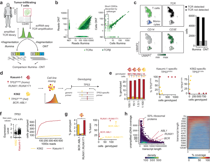 Fig. 2: nanoranger provides accurate cell barcode and genotyping information.