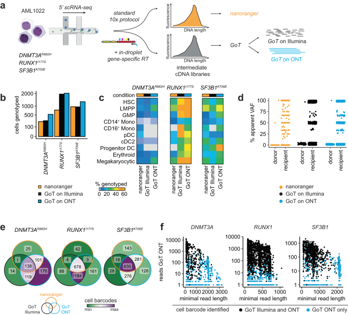Fig. 3: Comparison of nanoranger with GoT.
