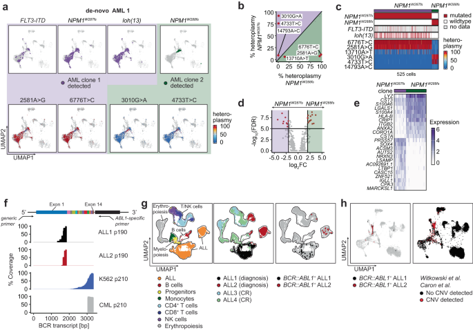 Fig. 6: Identification and tracking of leukemic cell populations in de-novo AML and Ph + ALL and CML.