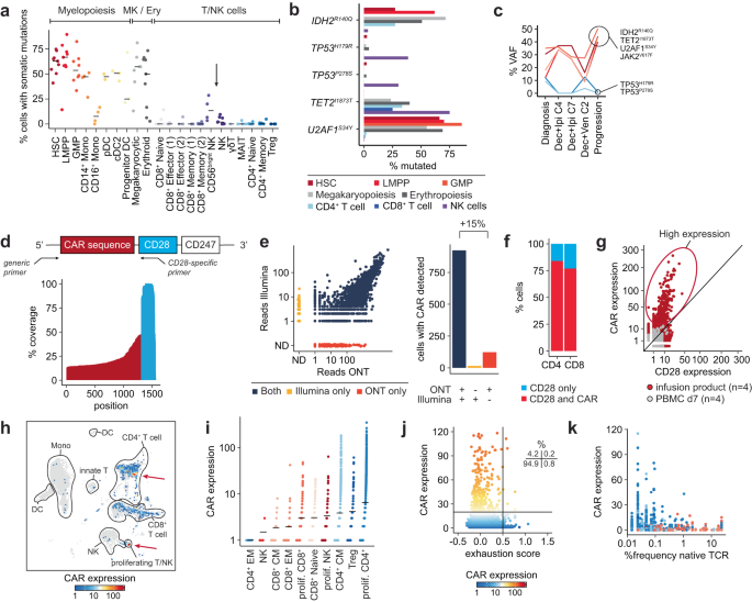 Fig. 7: Tracking of somatic mutations and CAR transcripts in T and NK cells.