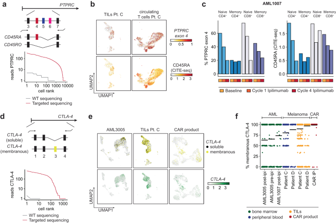 Fig. 8: Isoform detection in immune cells.